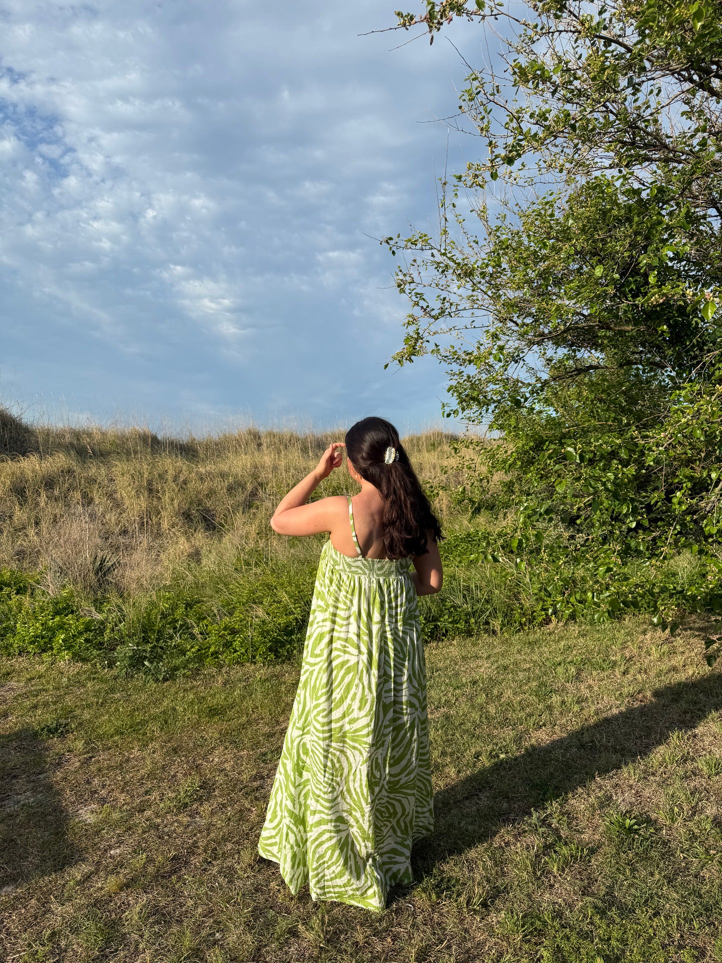 CONNIE ZEBRA MAXI DRESS