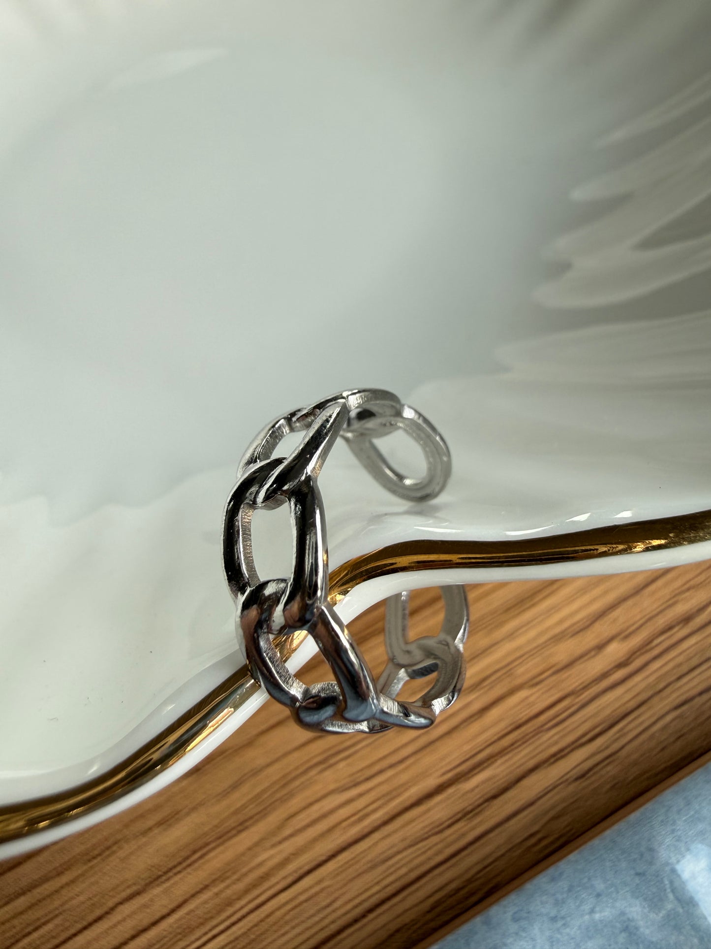 GOING PLACES RING SILVER